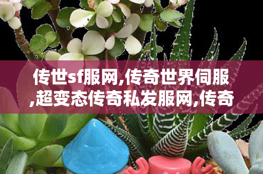 传世sf服网,传奇世界伺服,超变态传奇私发服网,传奇世界伺服