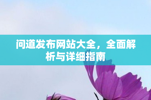 问道发布网站大全，全面解析与详细指南