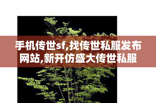 手机传世sf,找传世私服发布网站,新开仿盛大传世私服,找传世私服发布网站