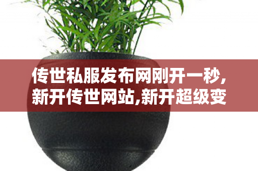 传世私服发布网刚开一秒,新开传世网站,新开超级变态传世sf,新开传世网站
