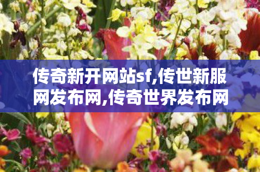 传奇新开网站sf,传世新服网发布网,传奇世界发布网站,传世新服网发布网