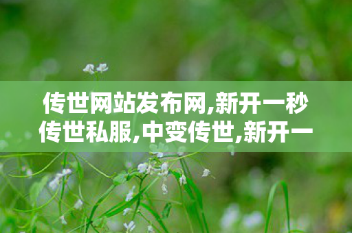 传世网站发布网,新开一秒传世私服,中变传世,新开一秒传世私服