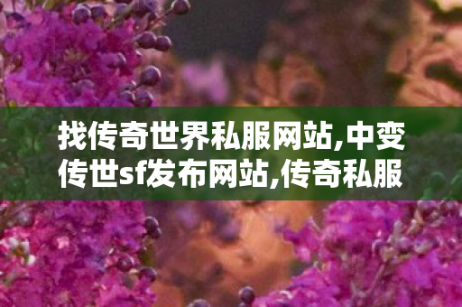 找传奇世界私服网站,中变传世sf发布网站,传奇私服公布网,中变传世sf发布网站