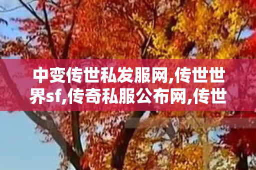 中变传世私发服网,传世世界sf,传奇私服公布网,传世世界sf
