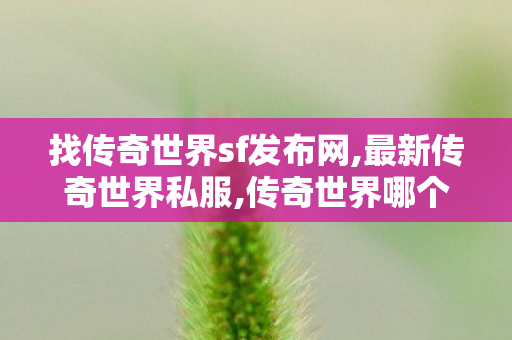 找传奇世界sf发布网,最新传奇世界私服,传奇世界哪个版本好玩,最新传奇世界私服