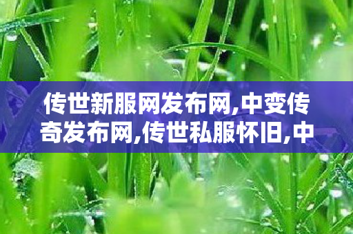 传世新服网发布网,中变传奇发布网,传世私服怀旧,中变传奇发布网