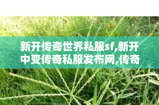 新开传奇世界私服sf,新开中变传奇私服发布网,传奇世界新开服的网站,新开中变传奇私服发布网