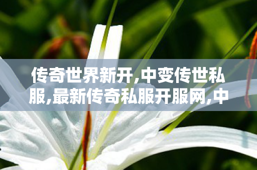 传奇世界新开,中变传世私服,最新传奇私服开服网,中变传世私服