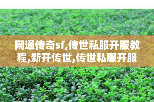 网通传奇sf,传世私服开服教程,新开传世,传世私服开服教程
