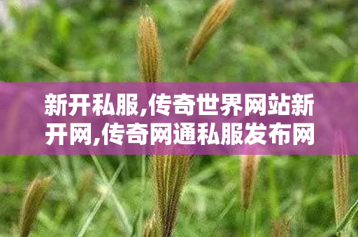 新开私服,传奇世界网站新开网,传奇网通私服发布网,传奇世界网站新开网