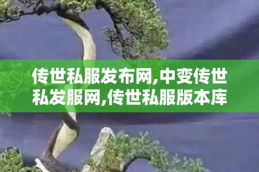 传世私服发布网,中变传世私发服网,传世私服版本库,中变传世私发服网