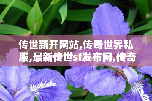 传世新开网站,传奇世界私 服,最新传世sf发布网,传奇世界私 服