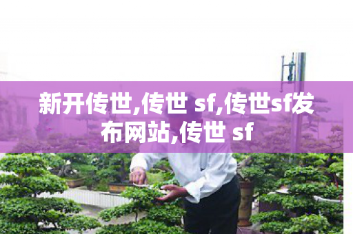 新开传世,传世 sf,传世sf发布网站,传世 sf