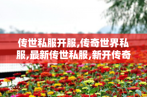 传世私服开服,传奇世界私服,最新传世私服,新开传奇微变网站,传奇世界私服,最新传世私服