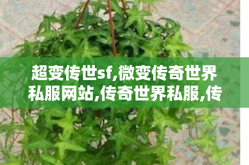 超变传世sf,微变传奇世界私服网站,传奇世界私服,传奇世界sf发布网,微变传奇世界私服网站