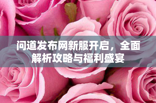 问道发布网新服开启，全面解析攻略与福利盛宴