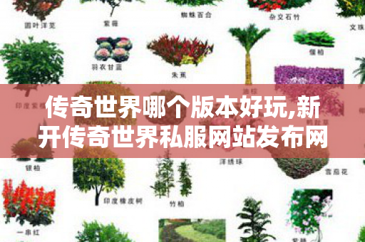 传奇世界哪个版本好玩,新开传奇世界私服网站发布网,中变传世私服,新开传奇世界私服网站发布网