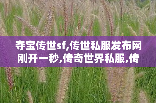 夺宝传世sf,传世私服发布网刚开一秒,传奇世界私服,传世私服新开,传世私服发布网刚开一秒
