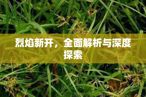 烈焰新开，全面解析与深度探索