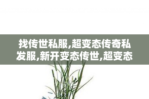 找传世私服,超变态传奇私发服,新开变态传世,超变态传奇私发服