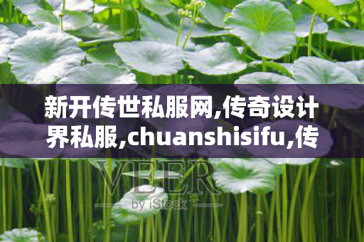 新开传世私服网,传奇设计界私服,chuanshisifu,传奇设计界私服