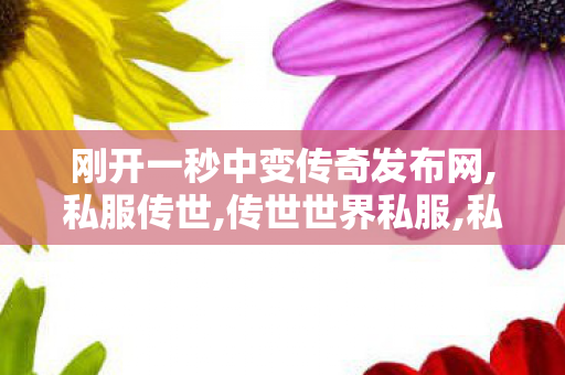 刚开一秒中变传奇发布网,私服传世,传世世界私服,私服传世