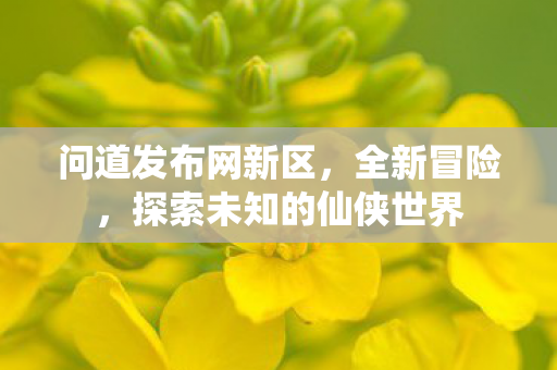 问道发布网新区，全新冒险，探索未知的仙侠世界