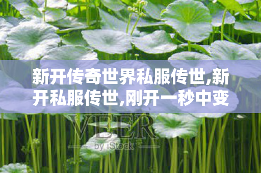 新开传奇世界私服传世,新开私服传世,刚开一秒中变传奇发布网,新开私服传世