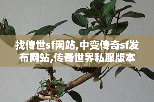 找传世sf网站,中变传奇sf发布网站,传奇世界私服版本下载,中变传奇sf发布网站