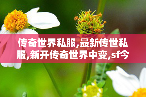 传奇世界私服,最新传世私服,新开传奇世界中变,sf今日新开传奇,新开传奇世界中变