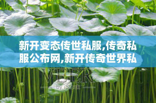新开变态传世私服,传奇私服公布网,新开传奇世界私服发布,传奇私服公布网