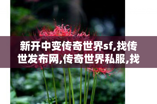 新开中变传奇世界sf,找传世发布网,传奇世界私服,找传世发布网