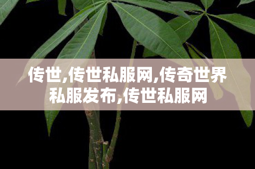 传世,传世私服网,传奇世界私服发布,传世私服网