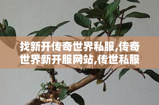 找新开传奇世界私服,传奇世界新开服网站,传世私服发布网新开服,传奇世界新开服网站