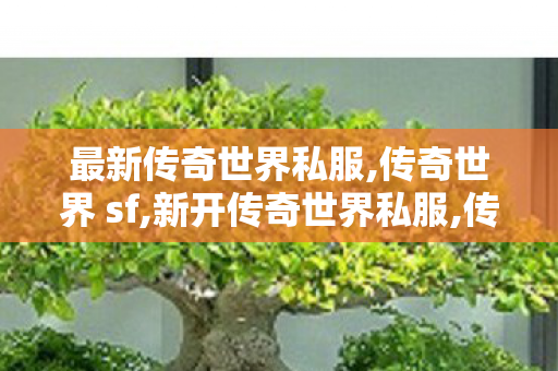 最新传奇世界私服,传奇世界 sf,新开传奇世界私服,传奇世界 sf