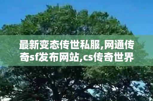 最新变态传世私服,网通传奇sf发布网站,cs传奇世界私服,网通传奇sf发布网站