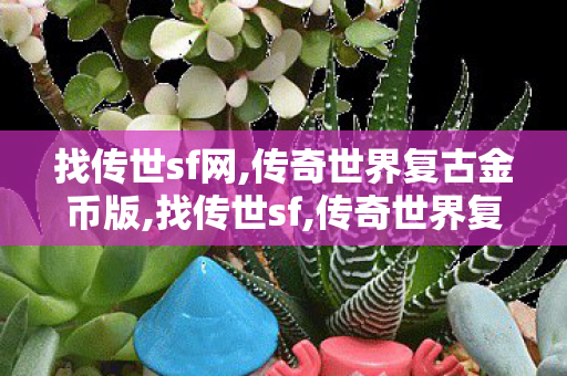 找传世sf网,传奇世界复古金币版,找传世sf,传奇世界复古金币版