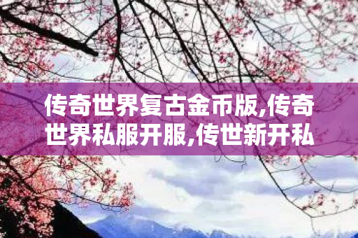 传奇世界复古金币版,传奇世界私服开服,传世新开私服,传奇世界私服开服