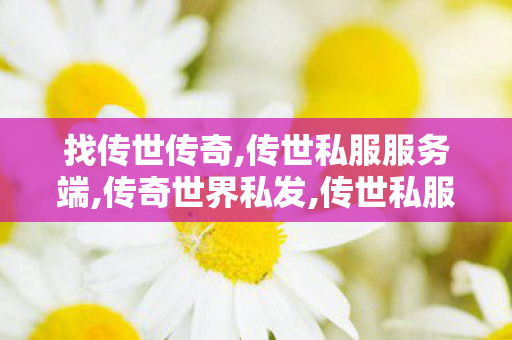找传世传奇,传世私服服务端,传奇世界私发,传世私服服务端