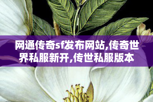 网通传奇sf发布网站,传奇世界私服新开,传世私服版本库,传奇世界私服新开