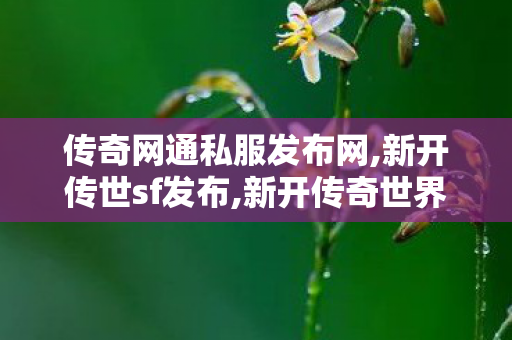 传奇网通私服发布网,新开传世sf发布,新开传奇世界私服传世,新开传世sf发布