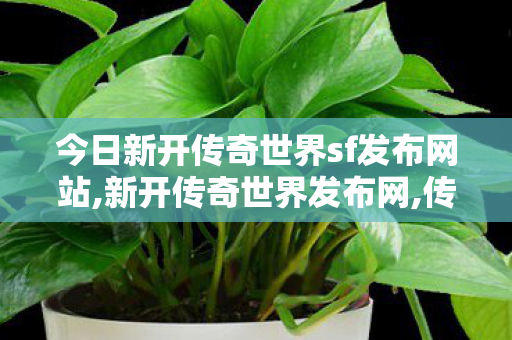 今日新开传奇世界sf发布网站,新开传奇世界发布网,传奇世界新开网站,新开传奇世界发布网