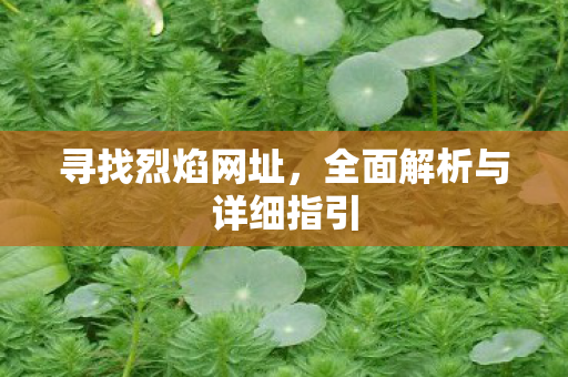 寻找烈焰网址，全面解析与详细指引