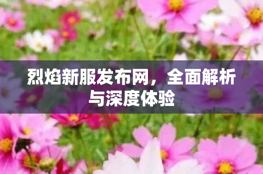 烈焰新服发布网，全面解析与深度体验