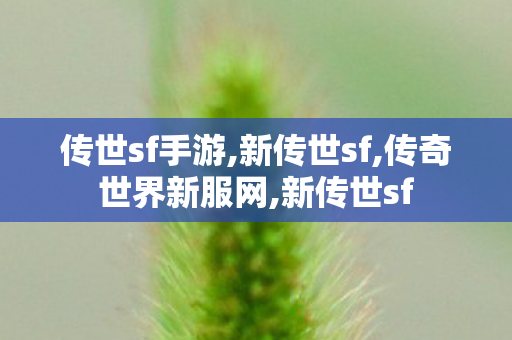 传世sf手游,新传世sf,传奇世界新服网,新传世sf