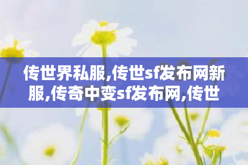 传世界私服,传世sf发布网新服,传奇中变sf发布网,传世sf发布网新服
