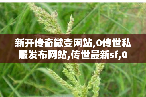 新开传奇微变网站,0传世私服发布网站,传世最新sf,0传世私服发布网站