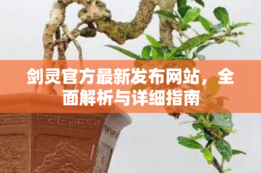 剑灵官方最新发布网站，全面解析与详细指南