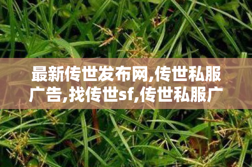 最新传世发布网,传世私服广告,找传世sf,传世私服广告
