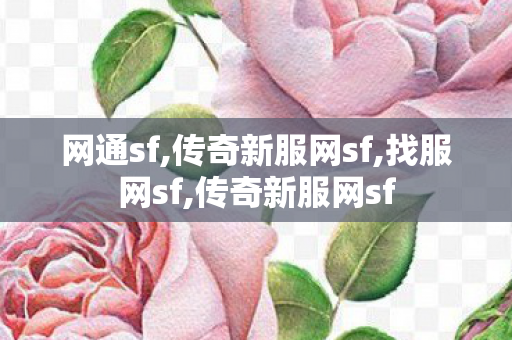 网通sf,传奇新服网sf,找服网sf,传奇新服网sf